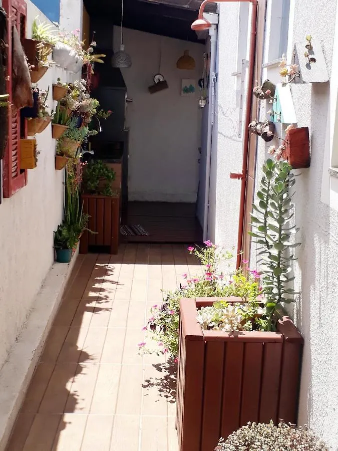 Apartamento Praia Do Santinho Nº103 Florianópolis Brasil